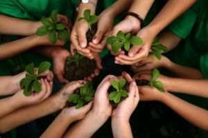 A Sustentabilidade nas Escolas