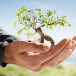 Indicadores de Sustentabilidade – Empresas Sustentáveis