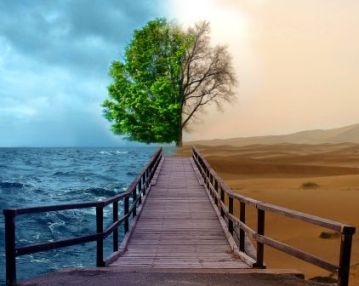 Sustentabilidade Ambiental