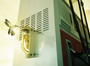 Biodiesel
