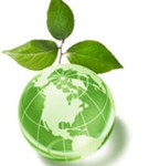 O começo da sustentabilidade.