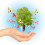 Atitudes Sustentáveis - Energia Renovável
