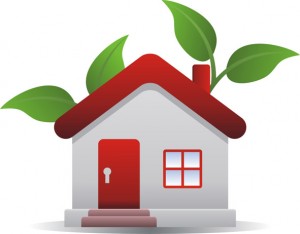 Casas Ecologicamente Corretas