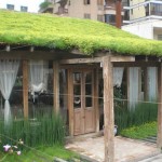 Telhado Verde – Cubra Sua Casa de Benefícios