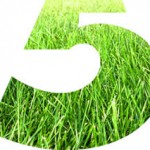 Top 5 Sustentabilidade no Mundo