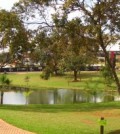 Rota Verde