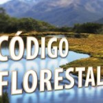 Conheça os Pontos Polêmicos do Código Florestal 
