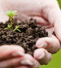 Sustentabilidade