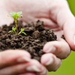 A Importância de Uma Sustentabilidade Ambiental Para Todos
