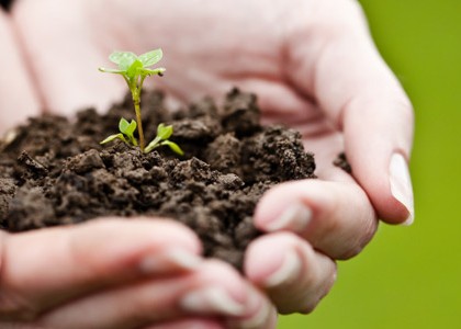 Sustentabilidade