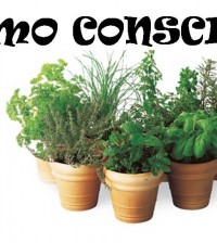 Consumo Consiente