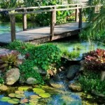 Complexidade do Ecossistema