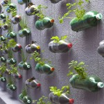 Dicas de Belos Jardins Feitos com Produtos Reciclados